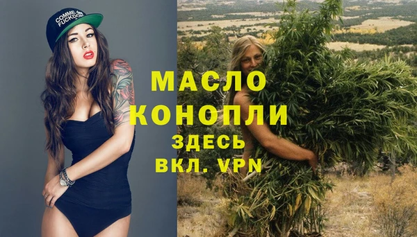 сатива Карпинск