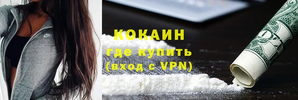 сатива Карпинск