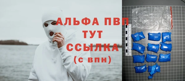 сатива Карпинск