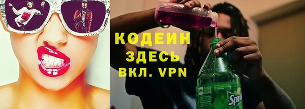 сатива Карпинск