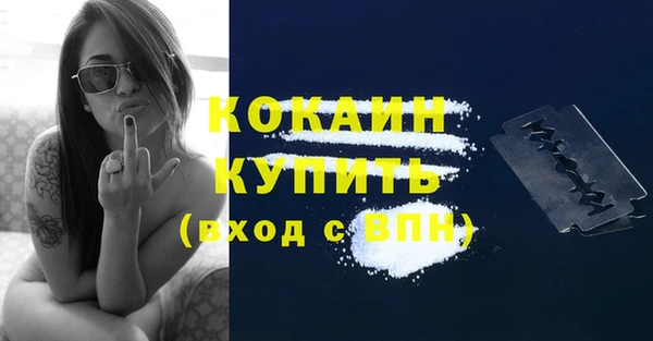 дживик Касимов