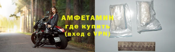 сатива Карпинск