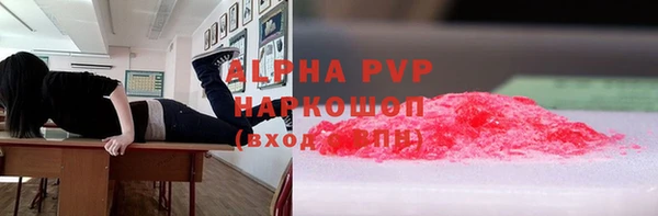 сатива Карпинск