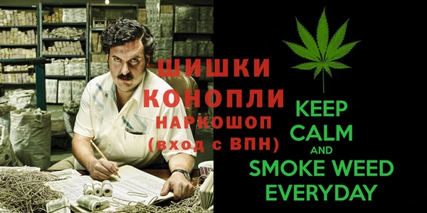 дживик Касимов
