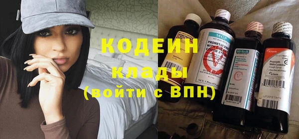 сатива Карпинск