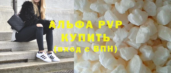 сатива Карпинск